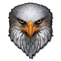 Reflective Eyes Eagle Decal
