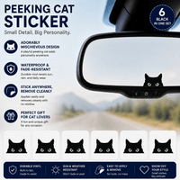 The Classic Pack (6 Black Stickers)