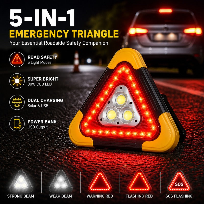 Multifunctional Roadside Safety Light